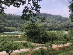 -南国桃园旅游度假区
