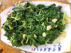 豆酱炒麻叶-宏记汕头白粥店(江怡店)