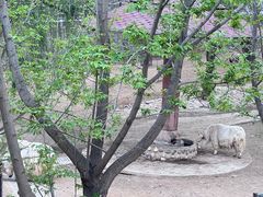 -石家庄市动物园