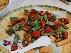 -陶缘一号·四季缘·老字号顺德菜·户外婚礼家宴(西滘店)