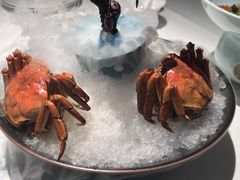 -阿五黄河大鲤鱼(纬三路店)