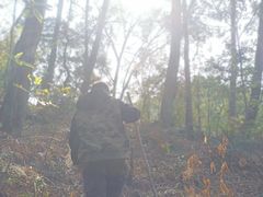 -三门江国家森林公园
