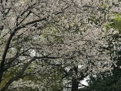 -中国茶叶博物馆(双峰馆区)