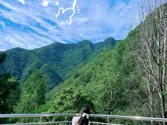 -终南山国家森林公园