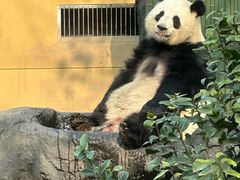 -成都动物园