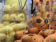 -娃娃集合营(上海奉贤龙湖天街店)
