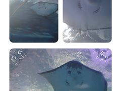 -泉城欧乐堡海洋极地世界