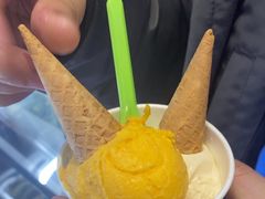 -Vola Gelato意大利手工冰淇淋(朝阳大悦城店)