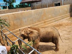 -西霞口神雕山野生动物世界