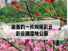 -重庆彩云湖湿地公园