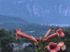 -禅宗少林·音乐大典