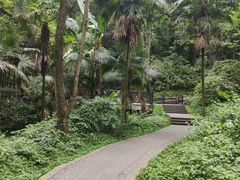 -凤栖山