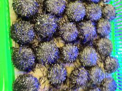 -青石桥市场北1-27号