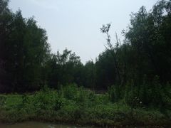 -大湾区中央湿地公园