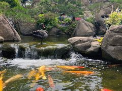 -罗红摄影艺术馆