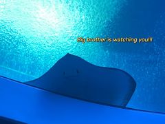 -珠海长隆海洋王国