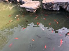 -花洲书院