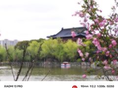 -南汇桃花村
