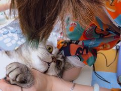 -美联众合动物医院(·中兽医·疑难杂症·严家桥分院)