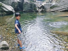 -黎坪国家森林公园