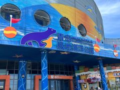 -海合安青岛极地海洋公园