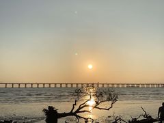 -宝安西湾红树林湿地公园