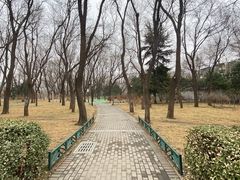 -玲珑塔公园