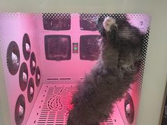 -沐沐家宠物(成寿寺店)