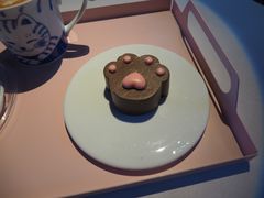 -喵屿·大理花园猫咖