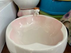 -宠爱国际动物医院· 猫科· 外科·中兽医(长白店)