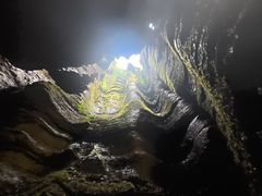 -鹿院坪生态旅游景区
