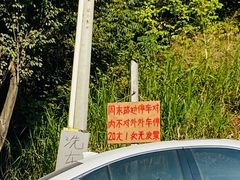 -天河儿童公园