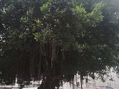 -宋井风景区