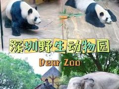 -深圳野生动物园