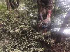 -东湖落雁景区