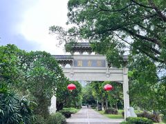 -番禺大夫山森林公园