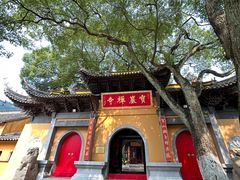 -宝岩生态观光园