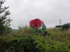 -密云玫瑰情园