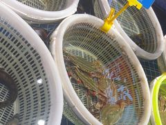-宝轩渔府·老字号海鲜·正宗津菜(水上店)
