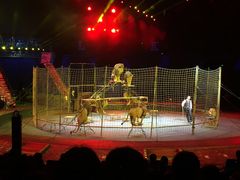 -珠海横琴长隆《卡卡虎奇遇记》