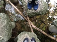 牛背梁自然保护区-牛背梁国家森林公园