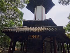 -上海佘山国家森林公园天马山园