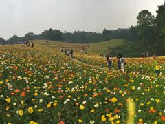 -保利石象湖景区
