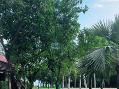 -三亚海棠湾万丽度假酒店