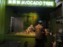 -油梨树AVOCADO TREE(顺义新国展店)