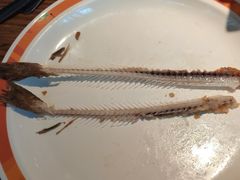 -比格比萨自助(国展店)