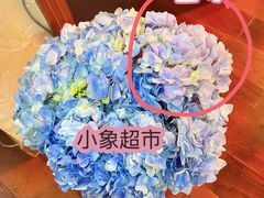 -盒马鲜生(领丰汇店)