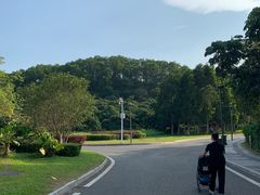 -东莞植物园