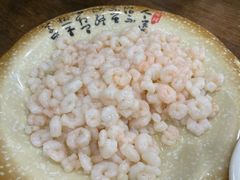 清炒河虾仁-协和菜馆(凤凰街店)