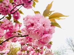 -大兴滨河森林公园